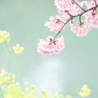 恋愛小説